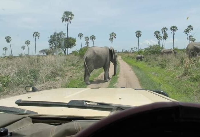 Selous Game Reserve - Dar es Salaam