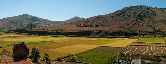 Ranomafana -  Ambositra