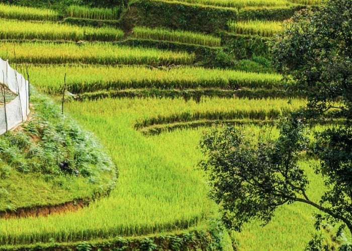 Hanoi - Trek - Mai Chau