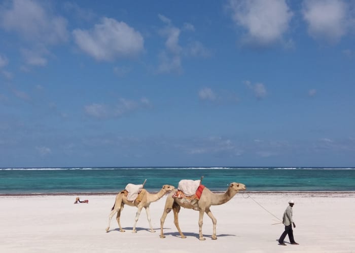 Plage Diani