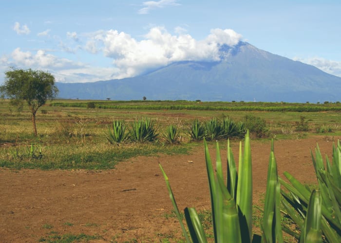 Mweka camp (1800m) - Arusha