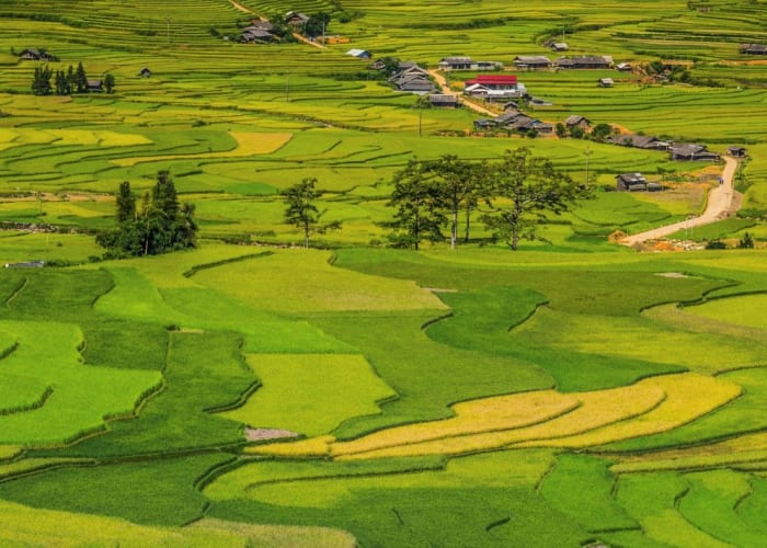 Mu Cang Chai- Découverte des rizières en terrasse