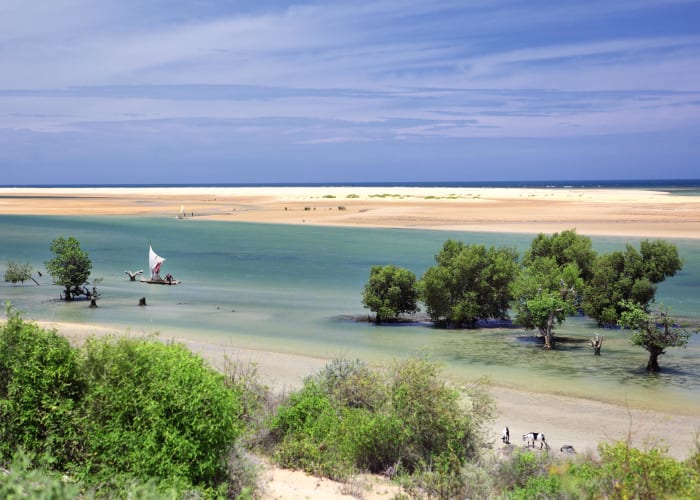 Ranohira – Tuléar – Ifaty (B, D)