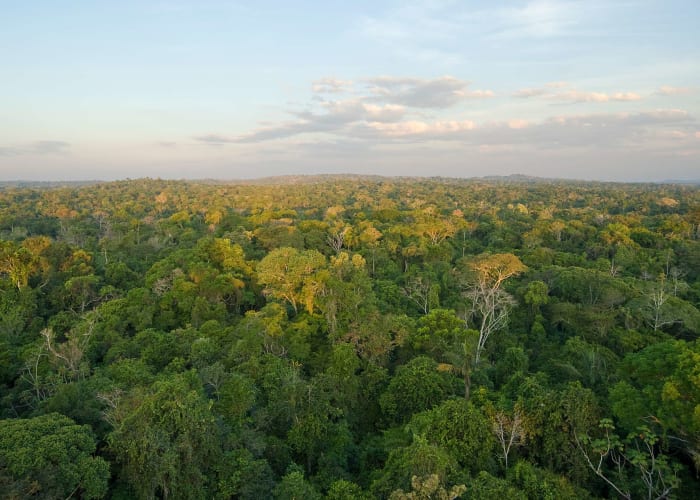 Départ vers l'Amazonie