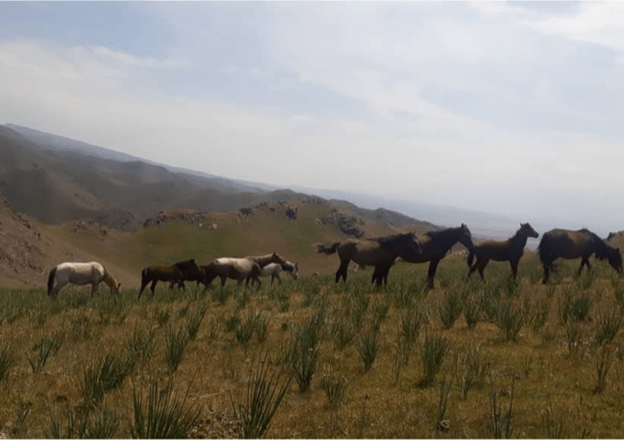 Vallée de Kilemche.