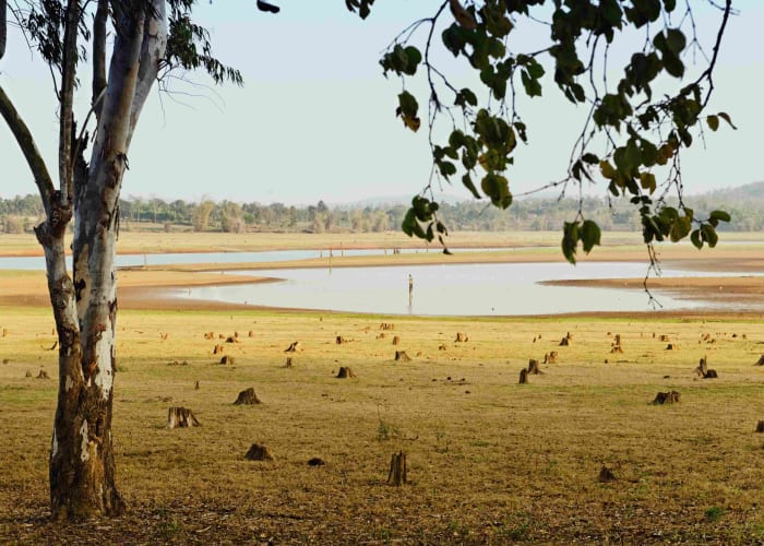 De Udaipur à Delhi