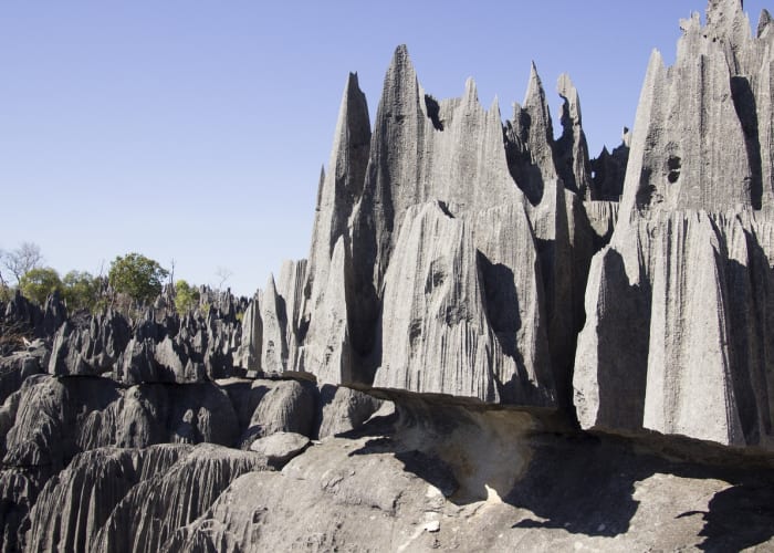 Visite des Grands Tsingy de Bemaraha