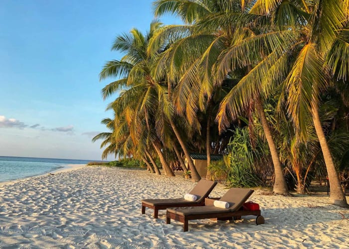 Détente sur la plage