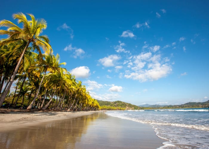 Uvita