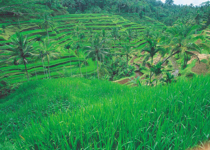 Ruteng vers Labuan Bajo