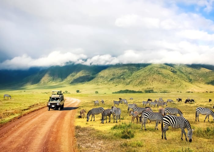 Serengeti National Park Gam Drive
