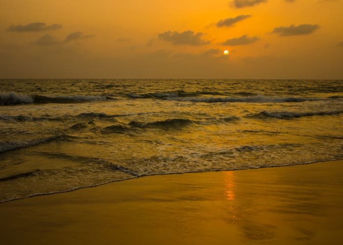 Backwaters - Marari Beach