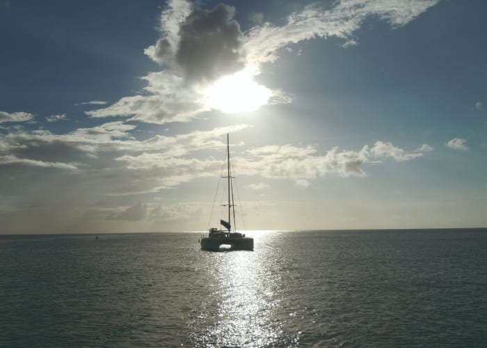 Journée Catamaran