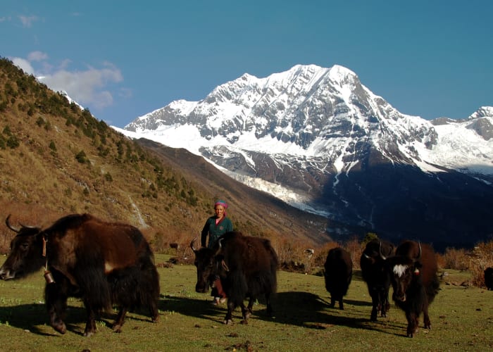 Dingboche à Gorakshep