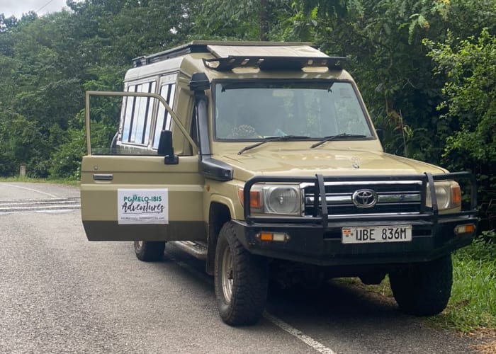 Transfert au parc national de Kibale pour les chimpanzés