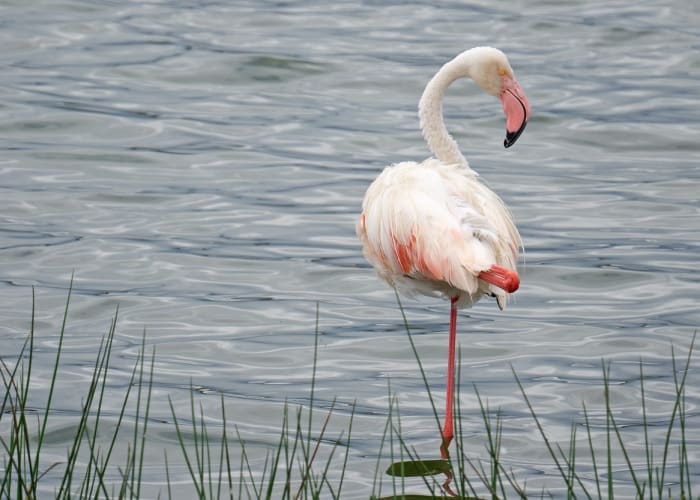 Parc national de Tarangire