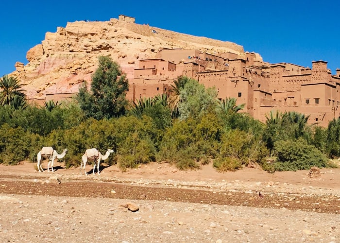 Marrakech → Ait Benhaddou → Ouarzazate → Dades Valley