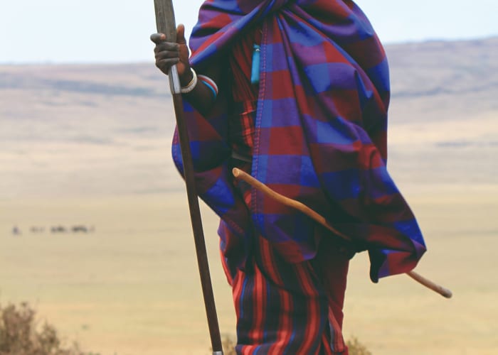 Visite du cratère du Ngorongoro