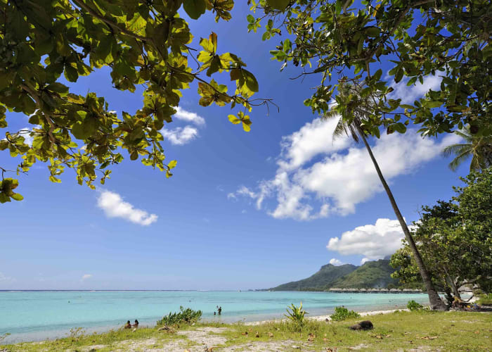 Moorea