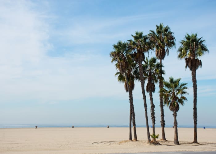 Los Angeles