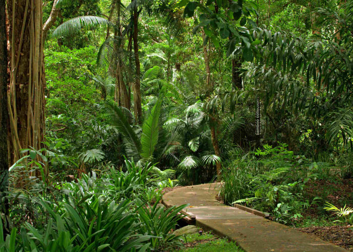 Port Douglas - Aéroport de Cairns