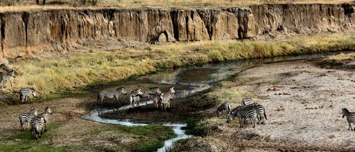 Direction le Parc National de Tarangire