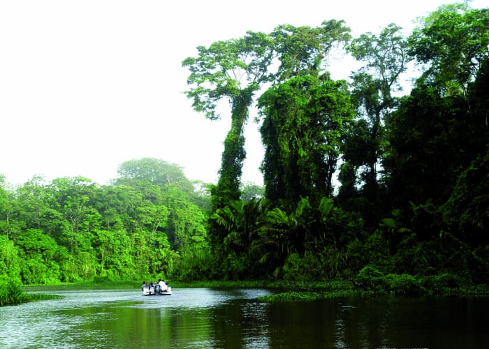 Tortugero, l'Amazonie du Costa Rica