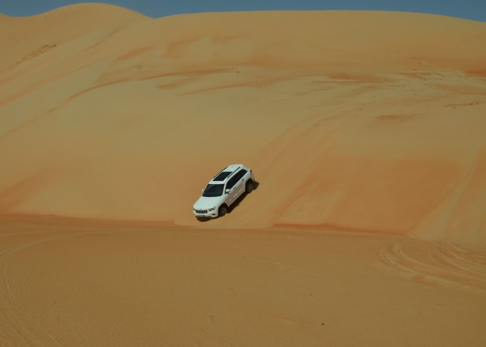 Expédition dans le désert de Dubaï : Safari en 4x4 avec dîner au barbecue