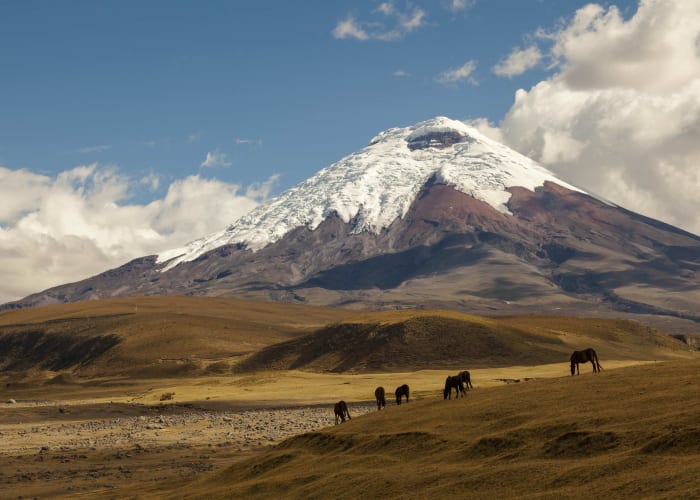 Un géant andin nommé Cotopaxi