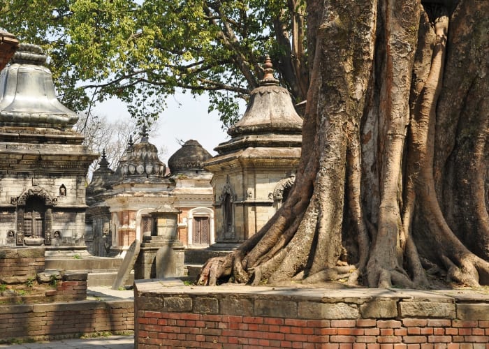 Katmandou à Patan à Pashupatinath à Boudhanath à Nagarkot