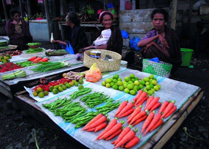Rantepao et marché de Bolu