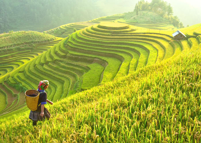 JOUR 08 : SAPA - MU CANG CHAI