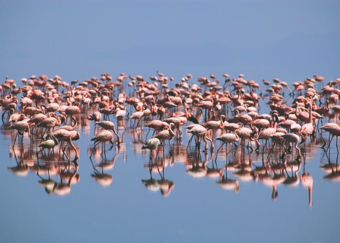 Lac Natron