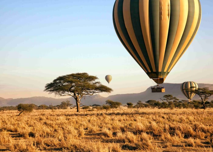 Départ pour le Serengeti de renommée mondiale