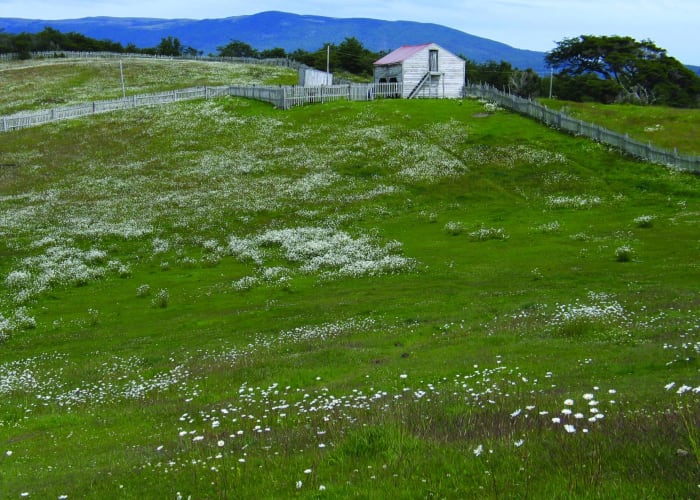 Domos de la Estancia