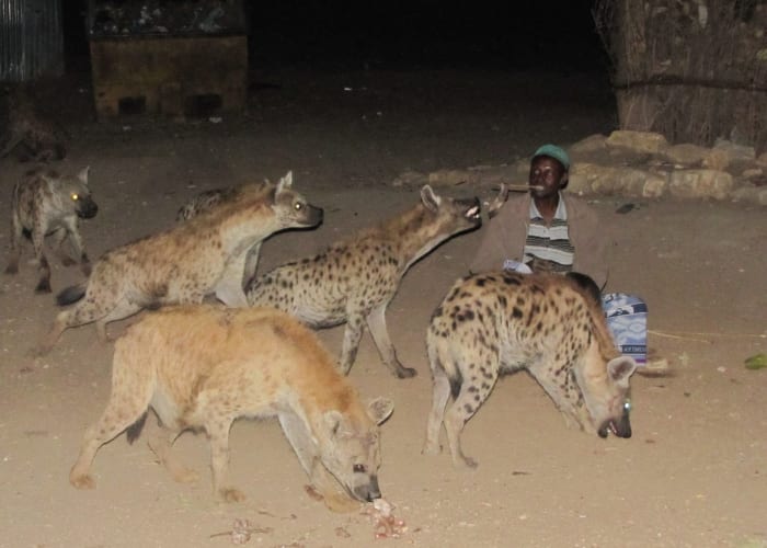 Harar ville chargée d histoire