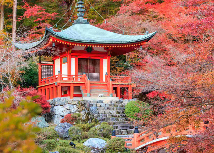 De Nara à Kyoto