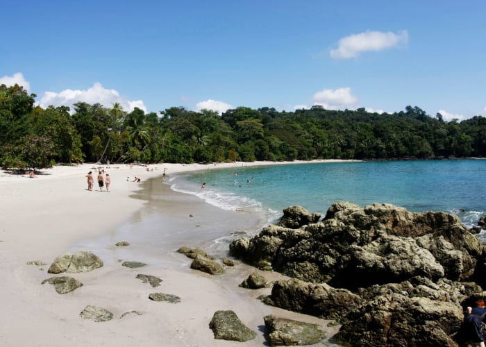 Réserve Monteverde - Manuel Antonio