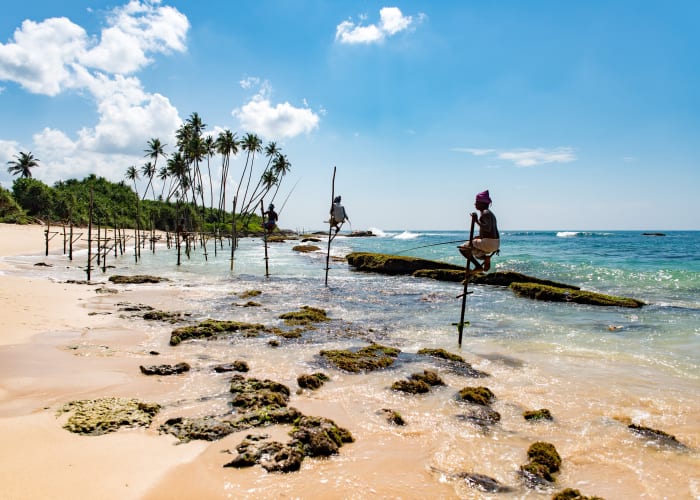 Trincomalee - Pigeon Island - Trincomalee