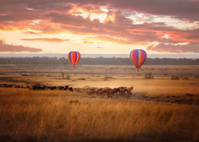 Maasai Mara
