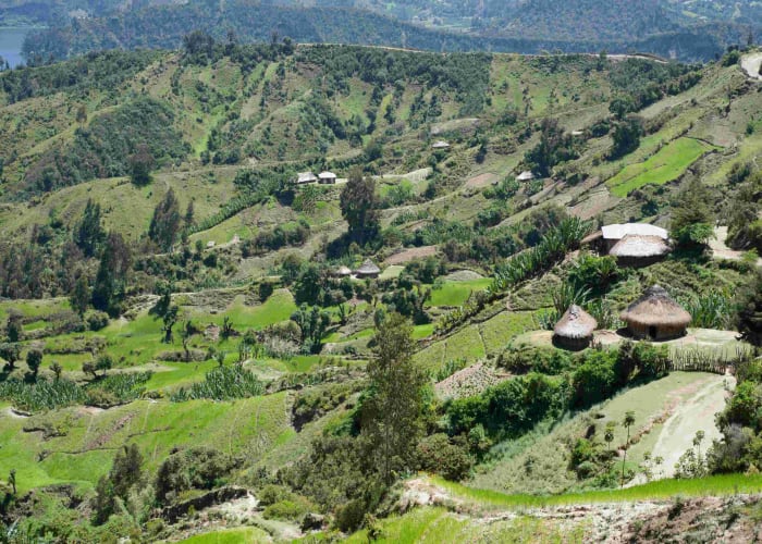 Confort en montagne : Le Bale Moutain Lodge