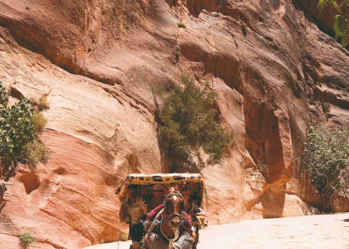 De Amman à Petra
