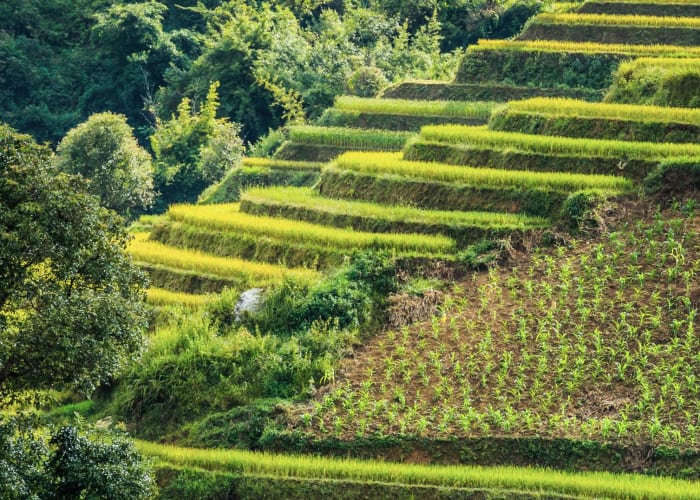 MAI CHAU - PU LUONG