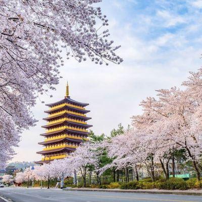 Gyeongju, le patrimoine du royaume de Silla