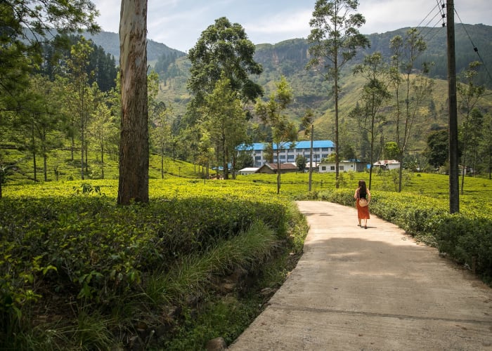 Nuwara Eliya
