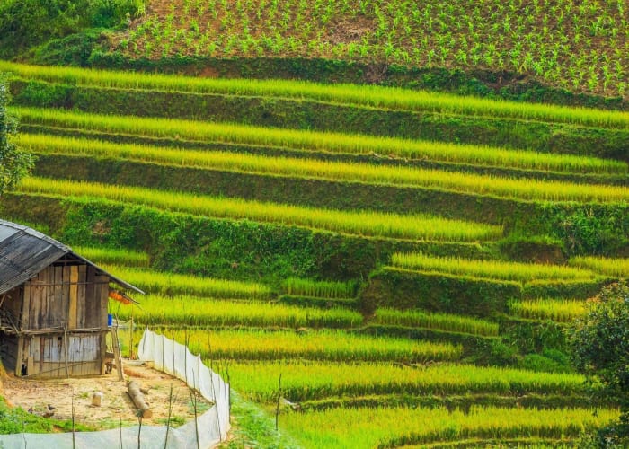Hanoi- Nghia Lo- Tu Le et Mu Cang Chai