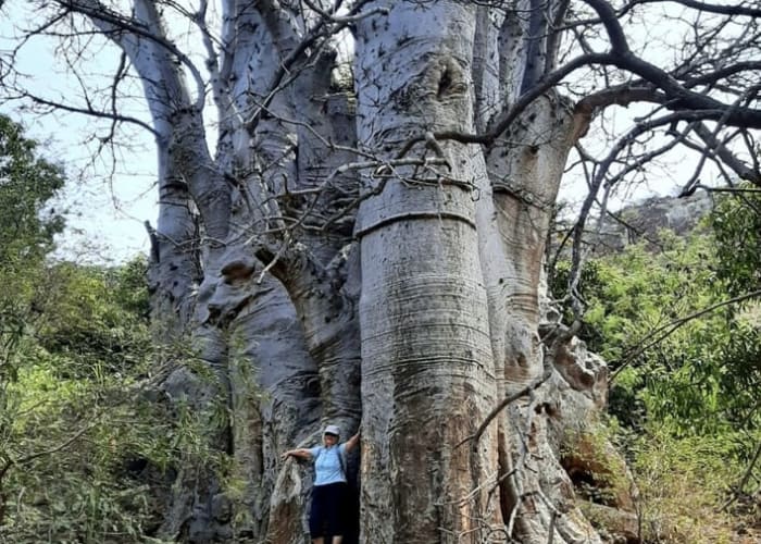 Randonnée dans la vallée de Ribeira Grande et la vieille ville