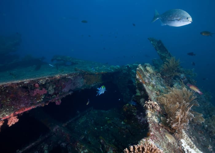 Riung et le parc marin de Taman Laut