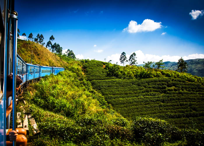De Kandy à Nuwara Eliya