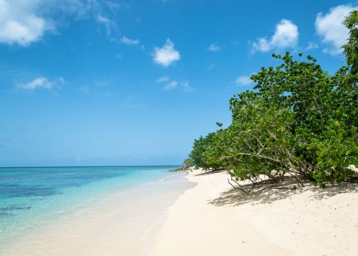 Plages et falaises à Port Louis et Anse Bertrand